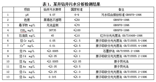 某井鉆井污水分析檢測結(jié)果